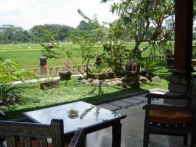 אובוד Green Field Hotel And Bungalow מראה חיצוני תמונה